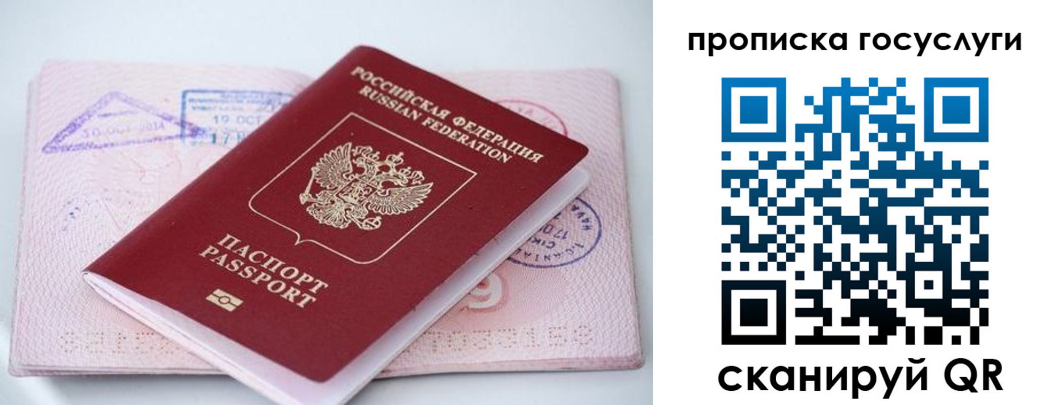 прописка законно в Зуевке